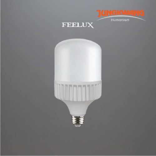 FEFLUX LED 벌브 30W  E26/E39 (3000K/5700K)
